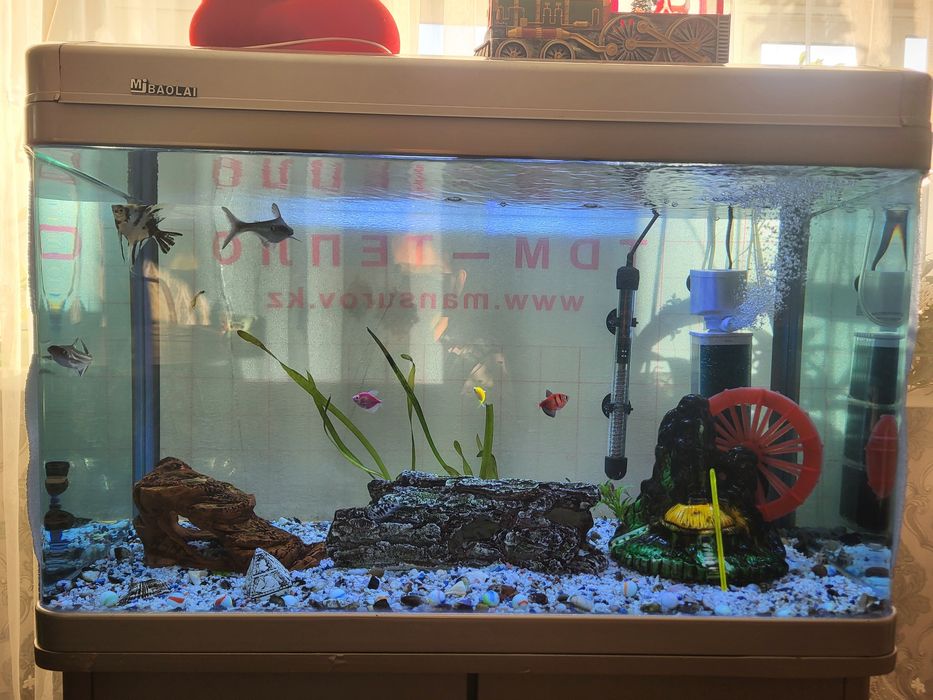 Аквариум заводской