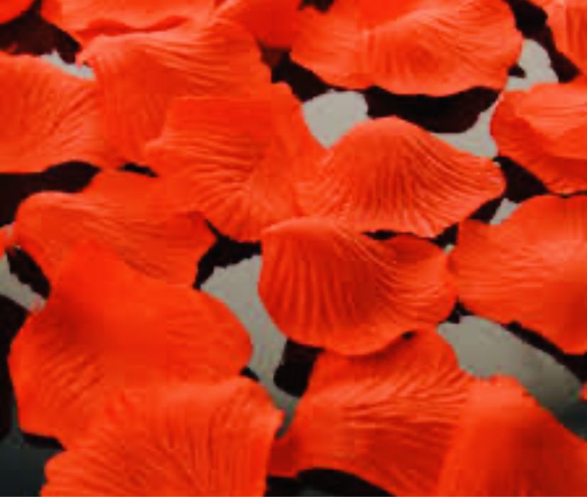 Лепестки роз