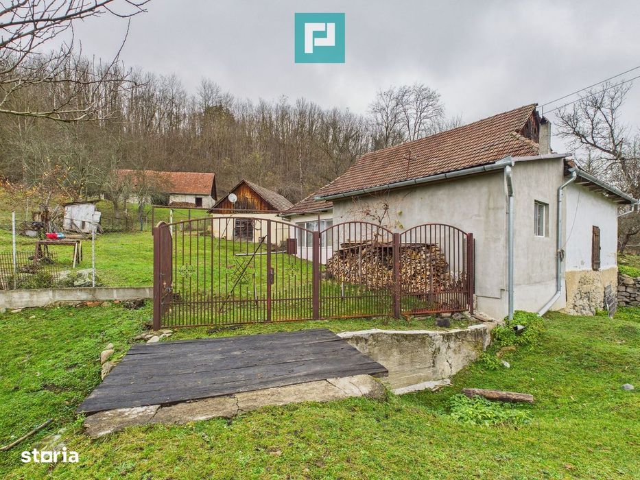Casă cu teren de 24.679,73 mp, în Hălmagiu, Arad