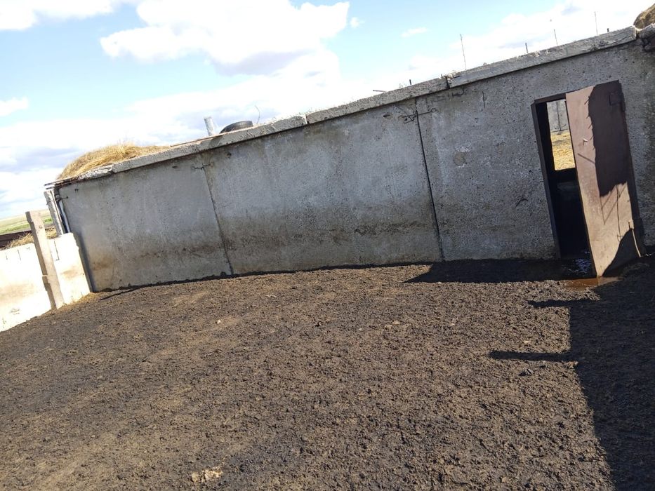 Продаю дом  село жанакала