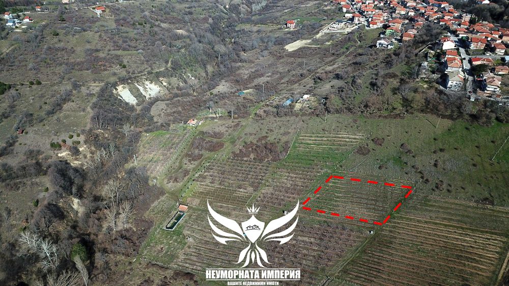 Продава се Парцел в Асеновград - 2400 кв.м за 8 €/кв.м - Снимка #7