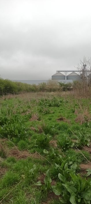Teren intravilan arabil 3846 mp, Topraisar.Zona buna,sub pretul pietei