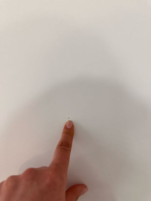 Set masa alba si 4 scaune