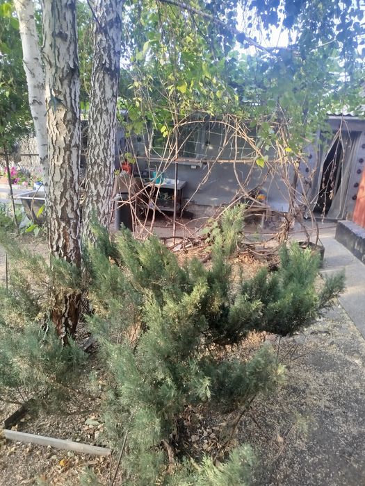 Продам срочно дом