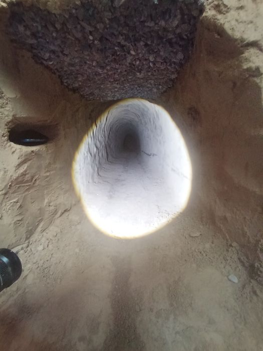 Urachi oʻrachi toshkent boʻylab