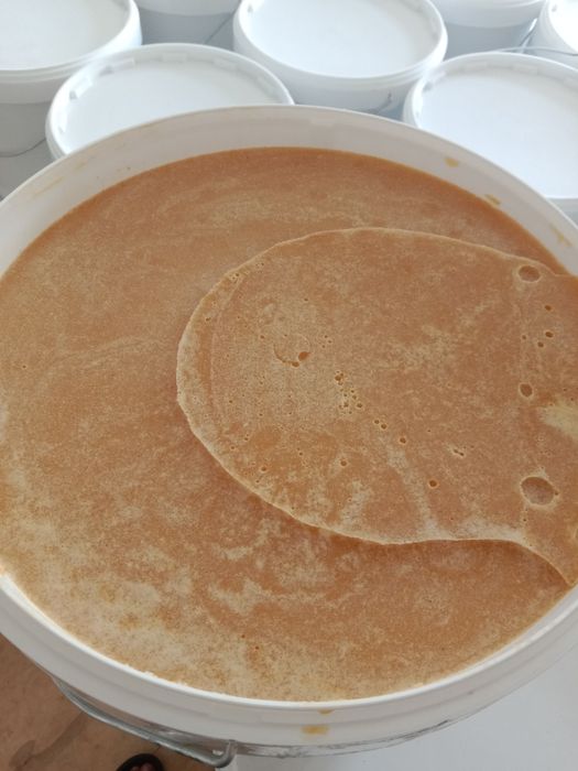 Мед Алтайский оптом