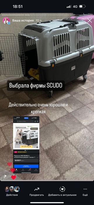 Переноска для собак средних пород