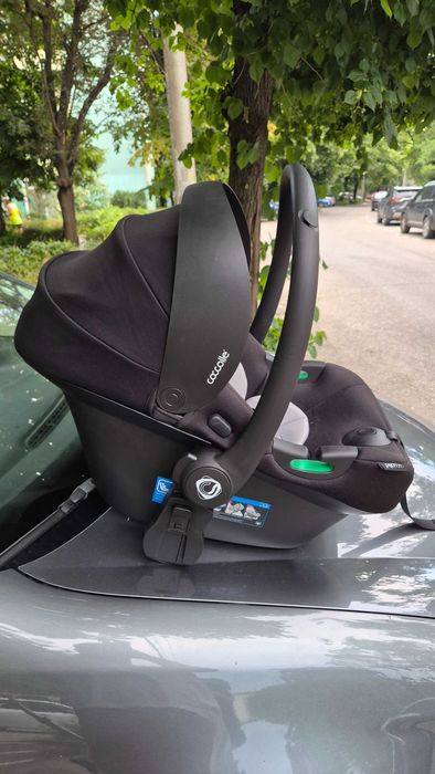 Scoica Coccolle Knox
