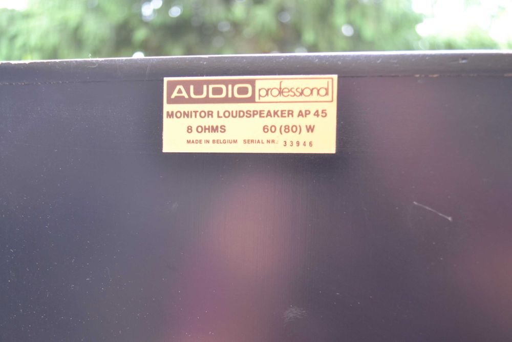 Audio Professional Monitor AP 45