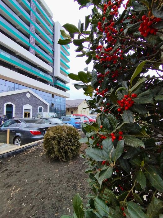 Apartamente cu 1 și 2 camere, decomandate, Tătărași, Iași