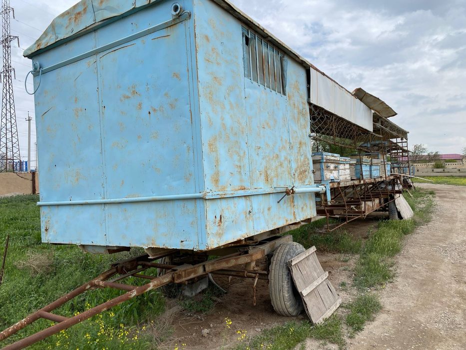 Вагон, тележка для пчёл. Asalarilar uchun vagon (arava).
