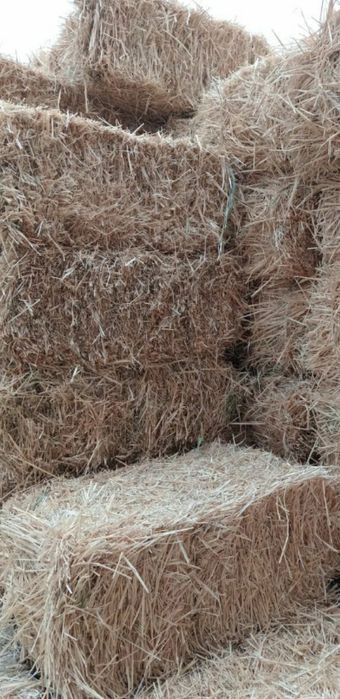 Самон пресс Сотилади пресикатта