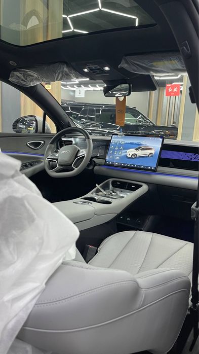 Byd selion 06 full 605