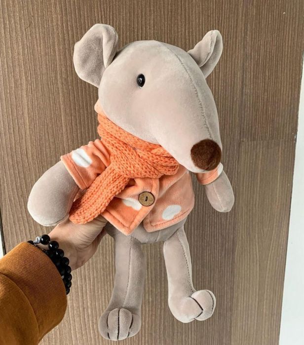 Очаровательный крыс