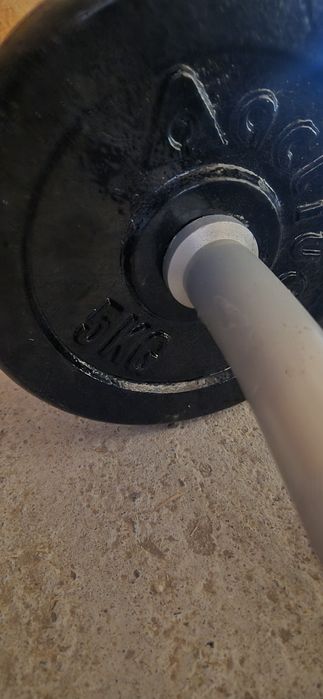 Haltere si gantere de vazare