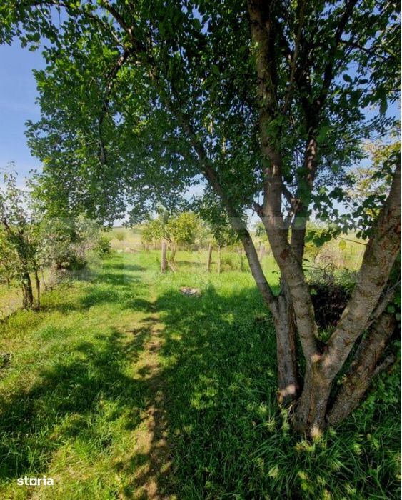 Casa cu teren in Uriu – renovata, curte, gradina si teren arabil