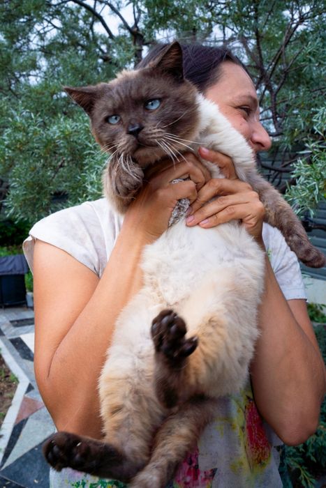 Котик кот Сима для ребенка