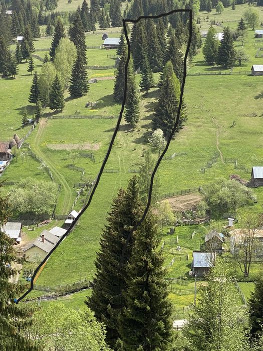Teren de vanzare in zona de munte