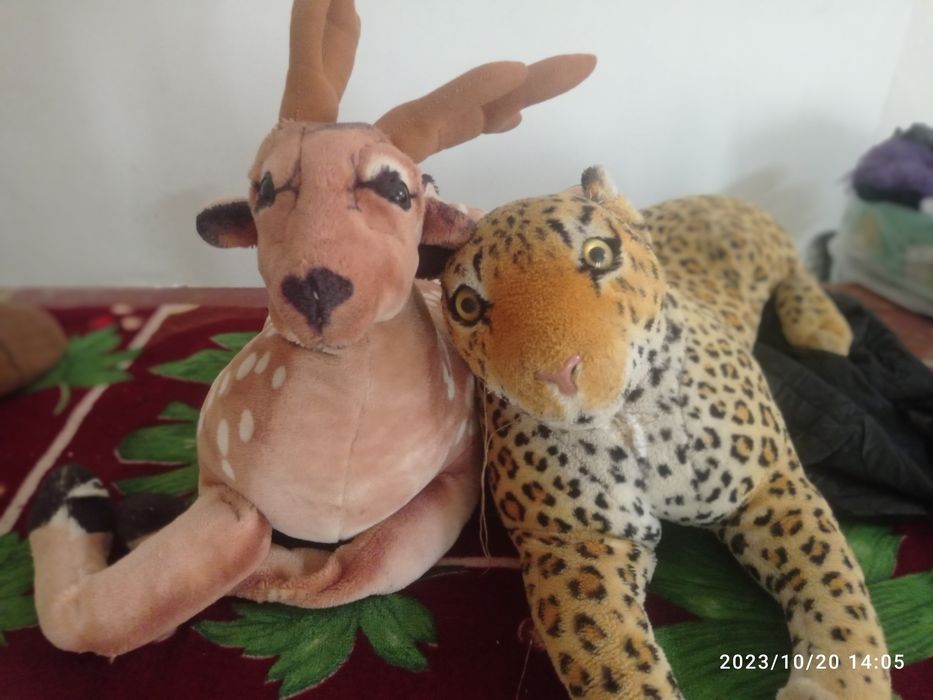 Перде, тигра ален сатылады