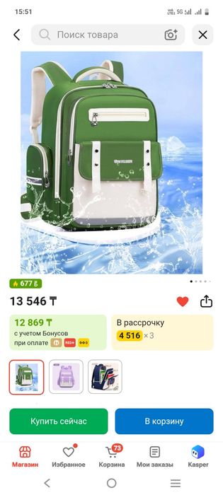 Школьные сумки (Ликвидация)