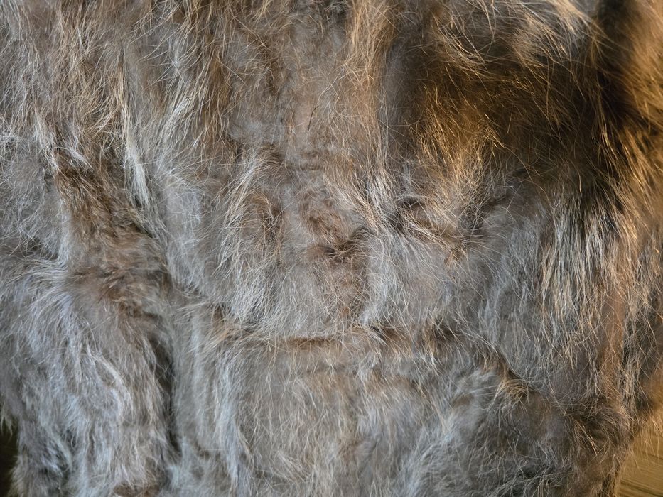 Продавам дамско палто от миеща мечка