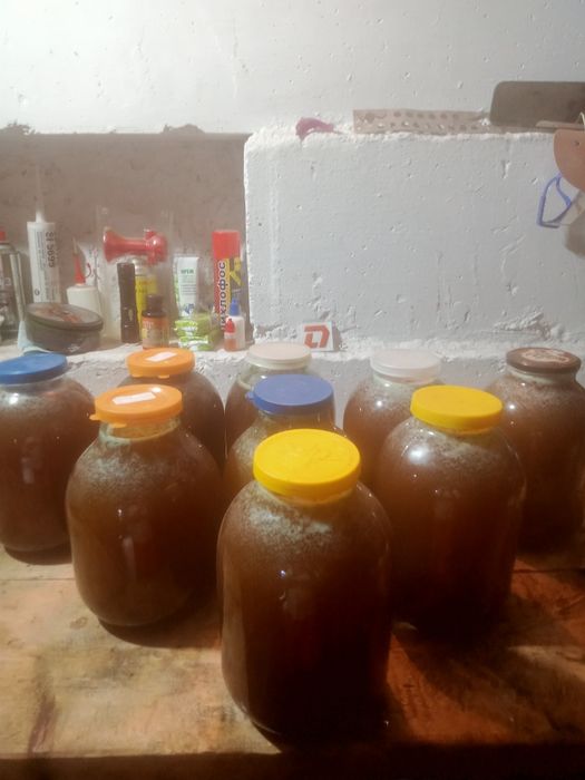 Мёд в сотах.Прополис.