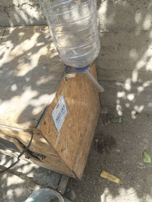 Брудер сатылады бағасы