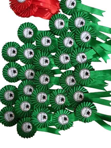 Cocarde personalizate absolventi