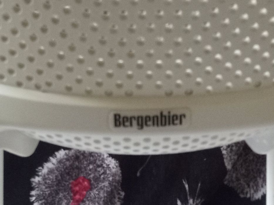 Scaune plastic  Bergenbire
