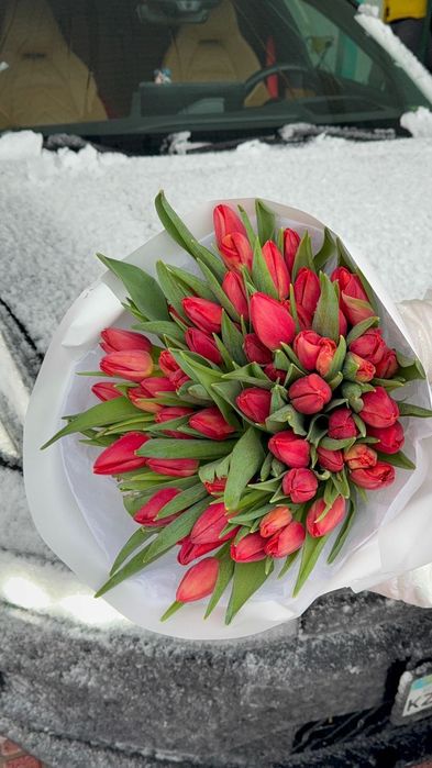 Тюльпаны оптом от 430тг