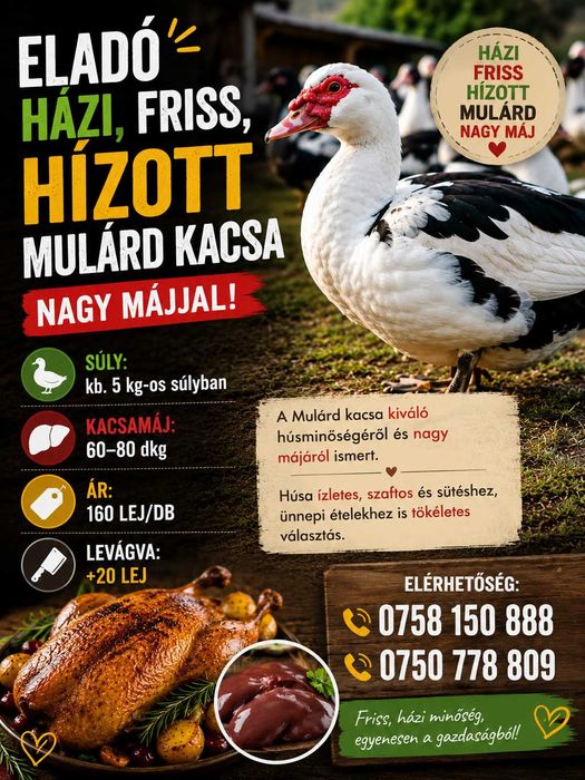 De vânzare rata Mulárd