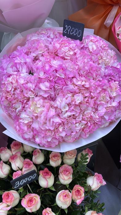 гортензия штук 2300 ден