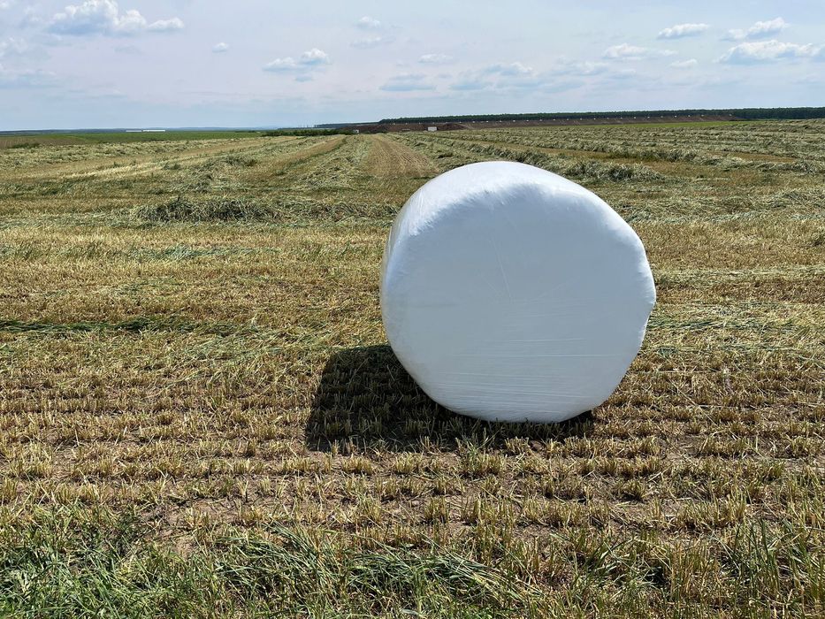 Baloți siloz triticale grâu lucernă