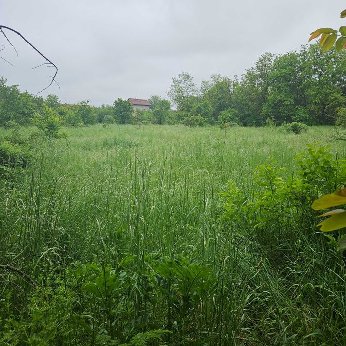 Парцел в село Горан, Ловешко