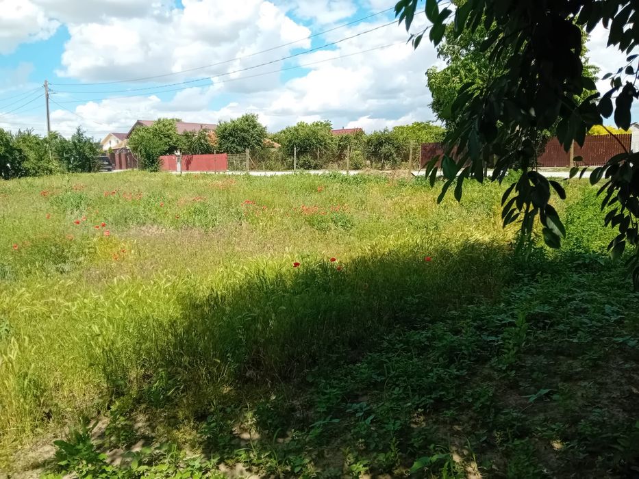 Teren intravilan 1000 mp Dorobanțu – Nicolae Bălcescu, utilități
