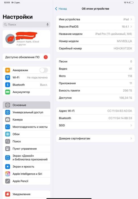 Ipad pro 11 inch m4 256 wif