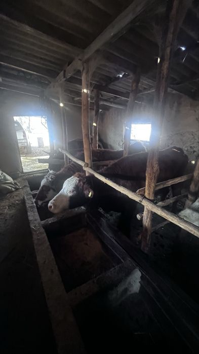 Ассалам алейкумм