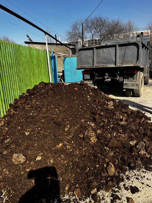 Перегнивший навоз отличное удобрение