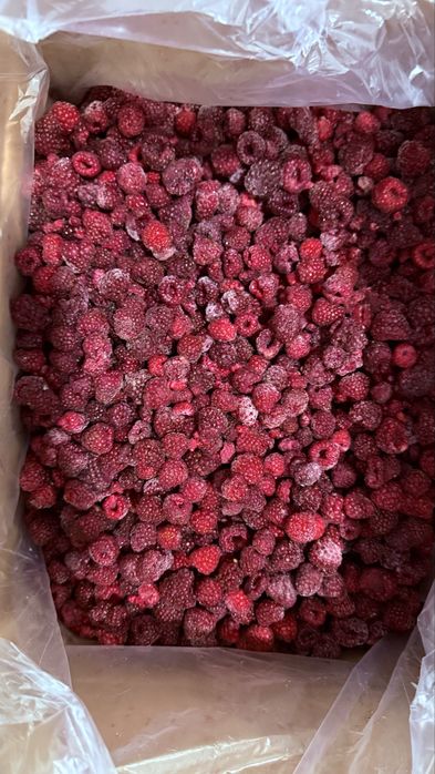 Замороженная отборная малина. Dona dona malina