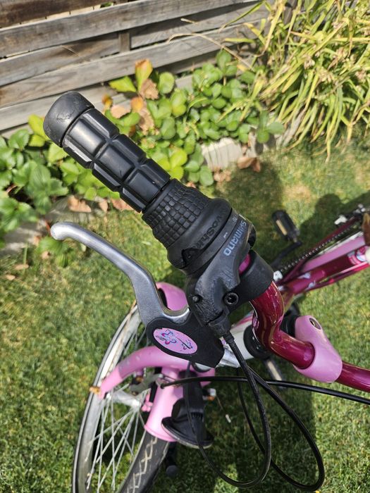 Bicicleta Papilon 20"