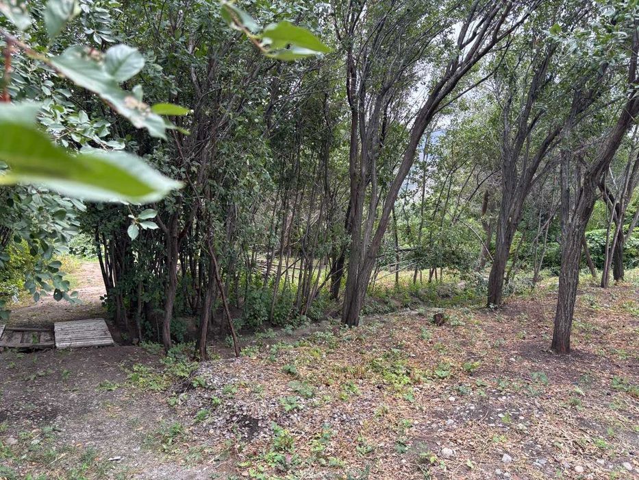 Земельный участок