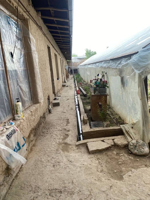 Nazarbek Turkiston da 8 sotix dala xovli sotiladi