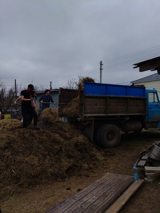 Зил с грузчиками 24/7