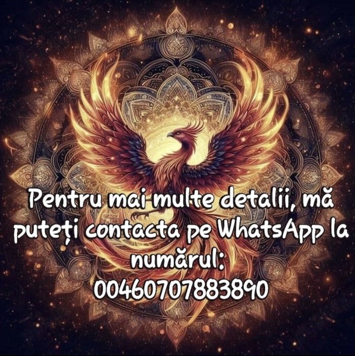 Teren de vânzare Jud Bacău