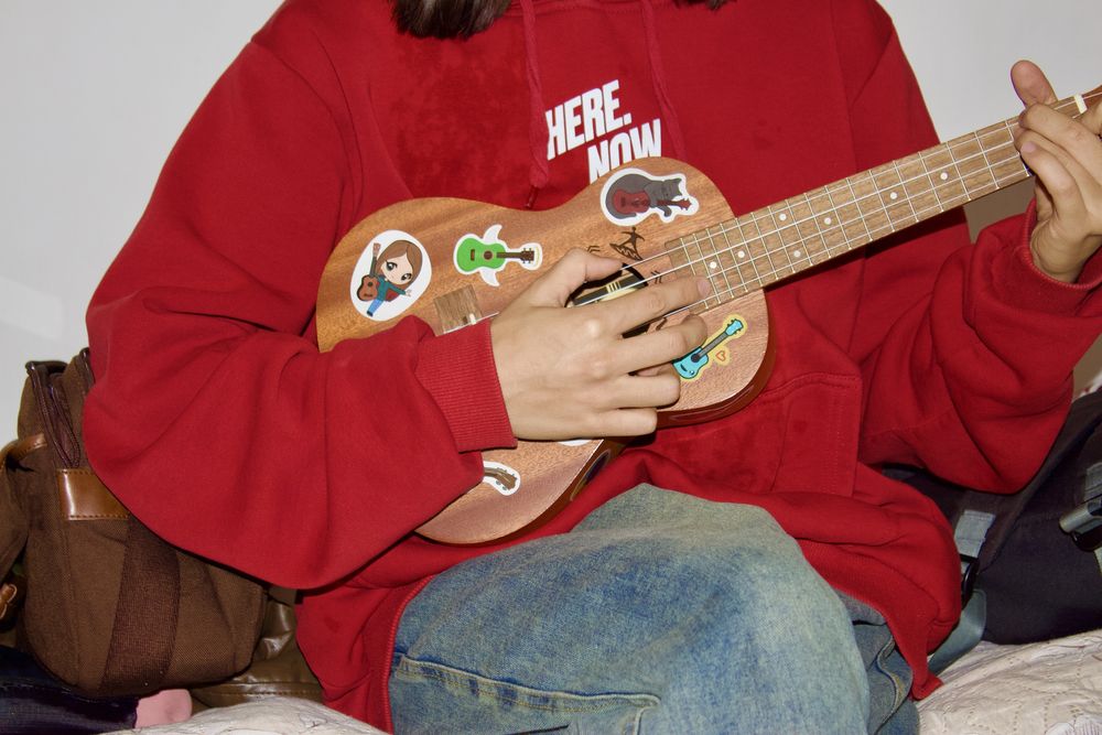 Укулеле Flight NUC 310 Brown + чехол