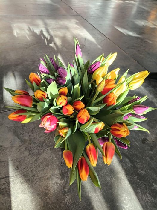 Тюльпаны в Караганде - опт и розница