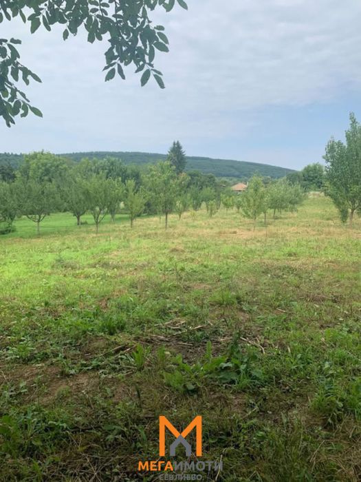 Продажба Парцел гр. Севлиево - с. Петко Славейков 1730m²