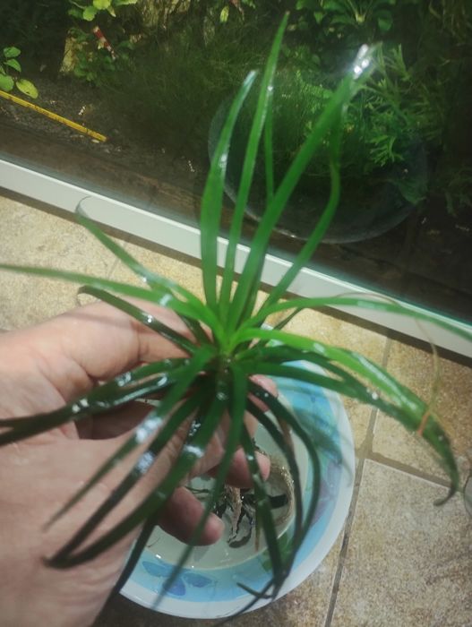 Butelii sisteme CO2 noi pline și second