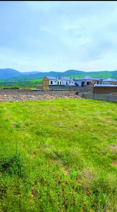 Срочно Продается Земля Под Дача Янги Чорбог