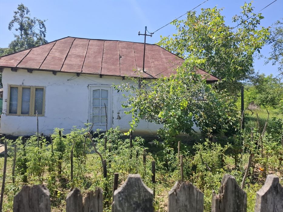 Casa traditionala  de vinzare